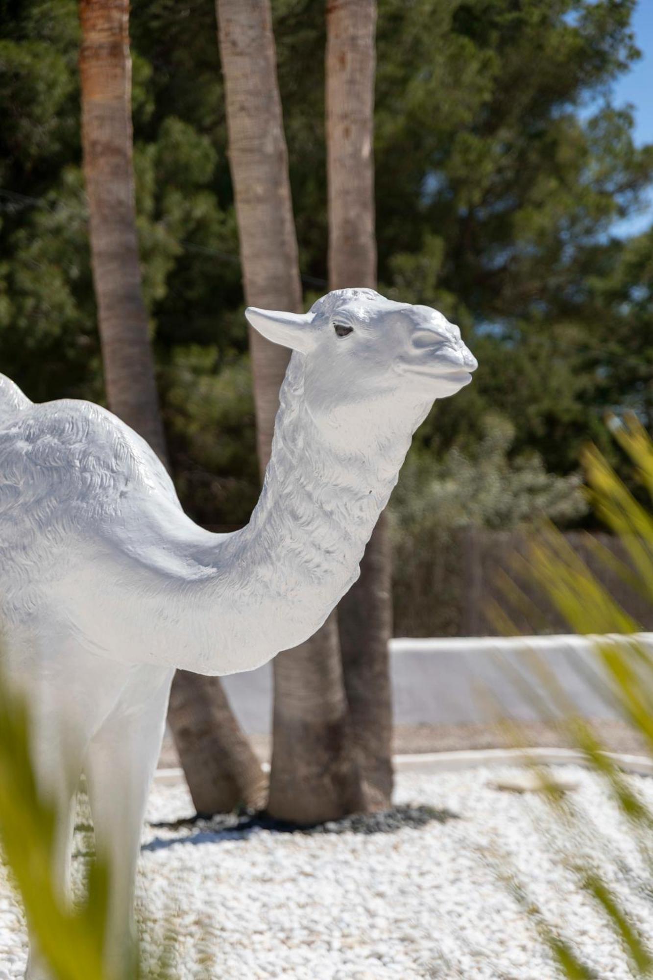 Villa Nivaria Sant Jordi de ses Salines 外观 照片